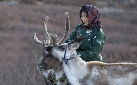 Na stepach Mongolii - od jurty do jurty, konie, wielbłądy i renifery z DiscoverAsia (21).jpg